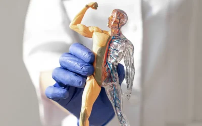 Bases de la anatomofisiología y patologías básicas