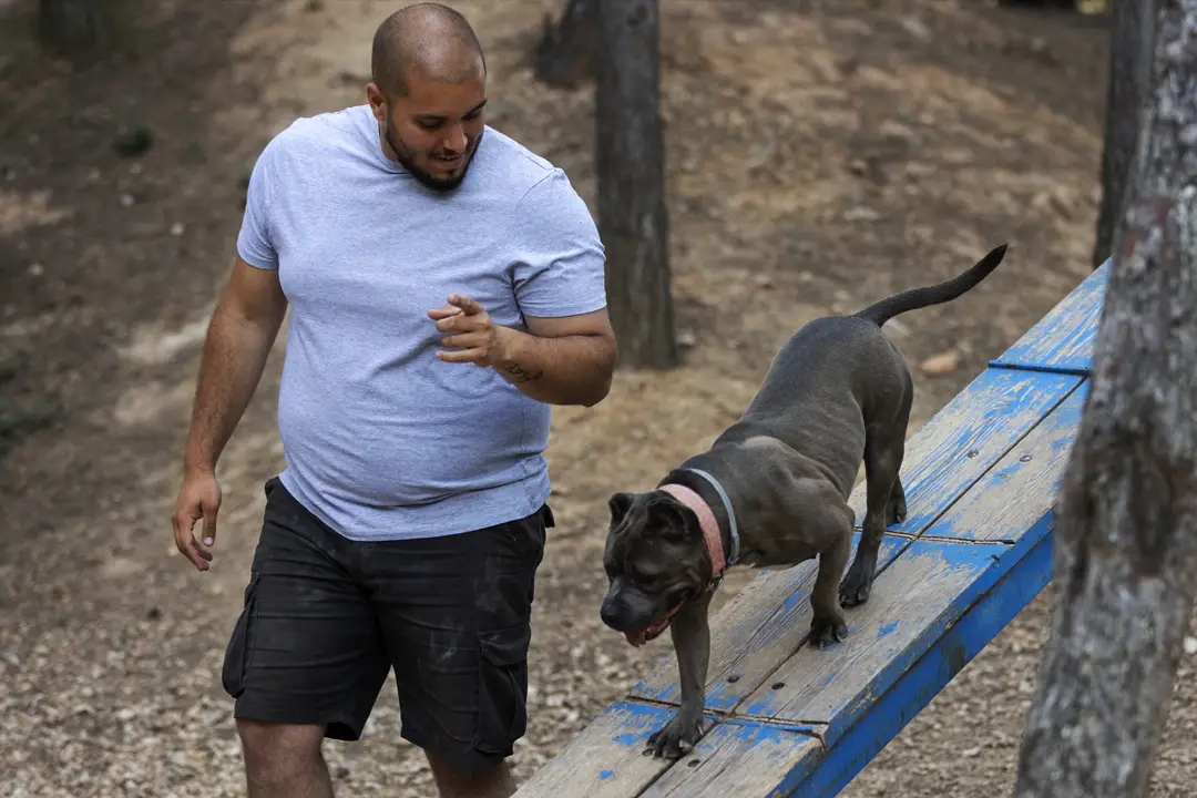 biomecànica fisioteràpia canina biomecànica fisioteràpia canina